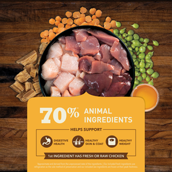 Butchers that sell raw dog food online
